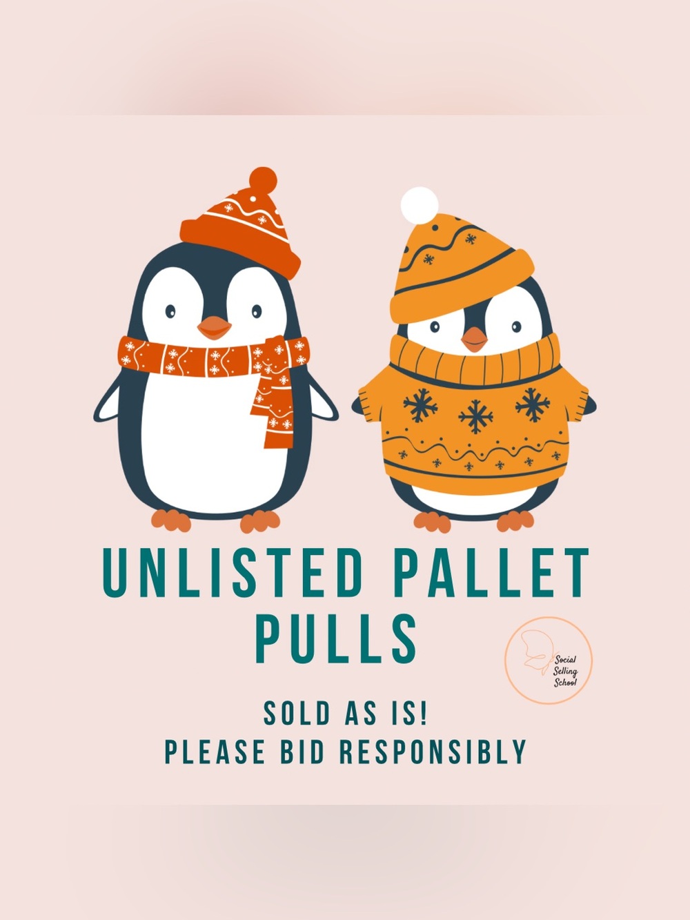 ☃️Unlisted Pallet Pulls🥶